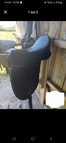 Selle dressage star 17'5