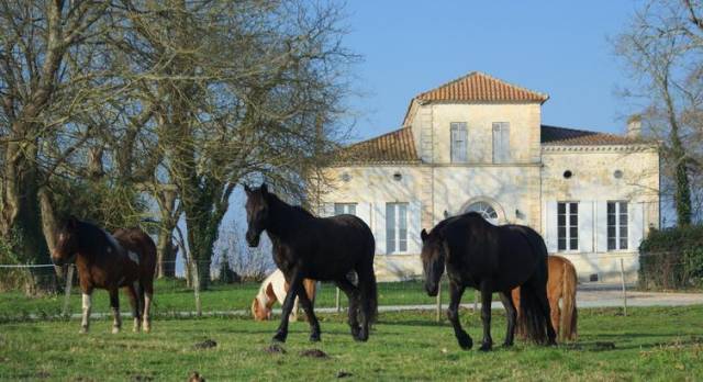 Pension au pré en médoc (33)