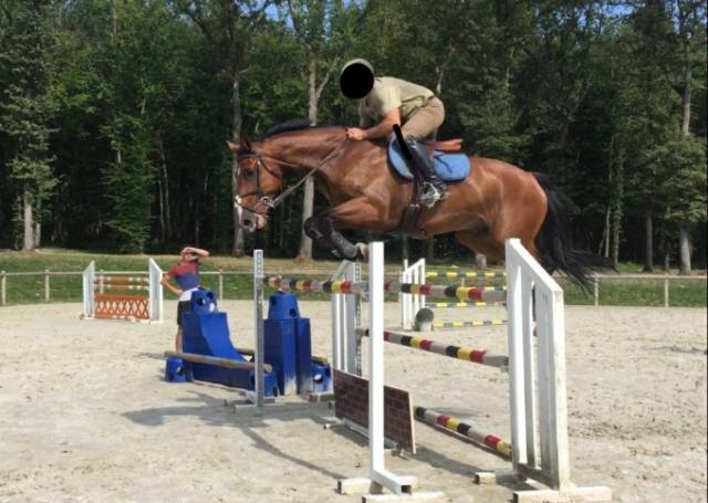 Cyrano de perraz, sf 13 ans, hongre bai