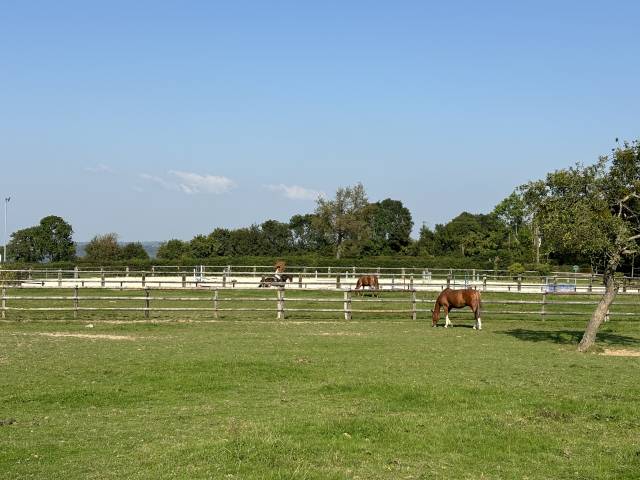 Emplacement idéal pour cette écurie à quelques minutes 