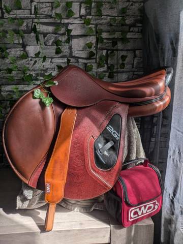 Selle cwd 2024