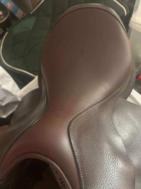 Selle club forestier 