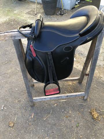 Selle guy cantin evolution