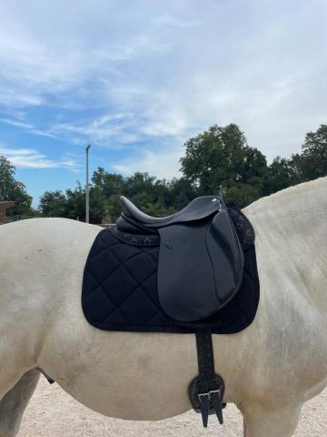 Selle dressage zaldi 16’5