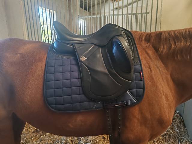 Selle de dressage bates 