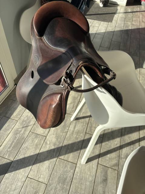 Selle guy cantin 