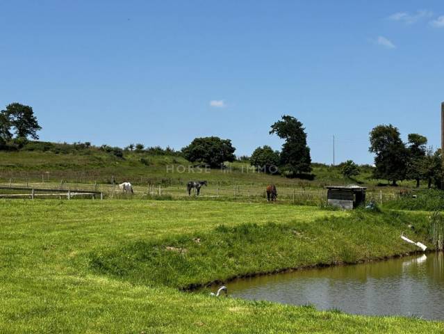 Propriété équestre d'exception proche saint-malo et dol-de-