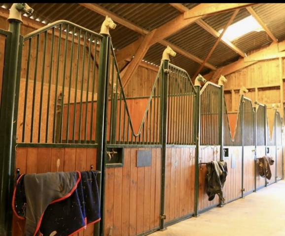 Pension box/paddocks sortie 7j/7 
