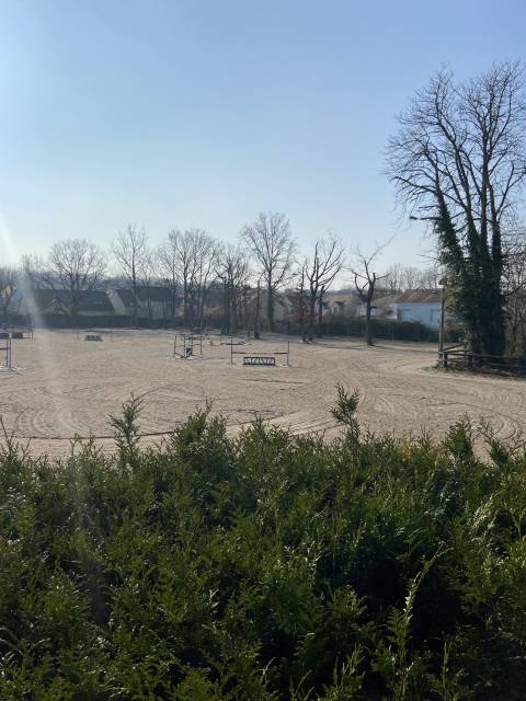 Pension chevaux sport ou loisir proche paris 