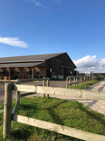 Haras boréal - écuries laura saine