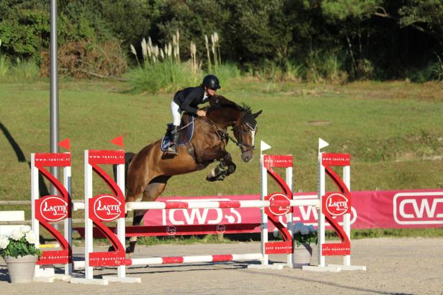 Jument 7 ans cso polyvalente cce