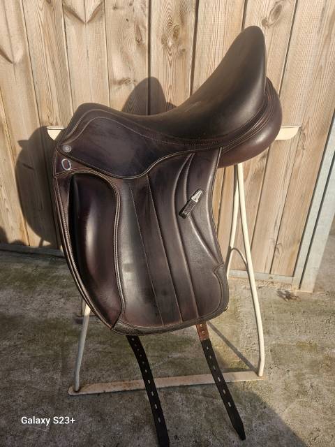 Selle equipe viktoria 2024 dressage