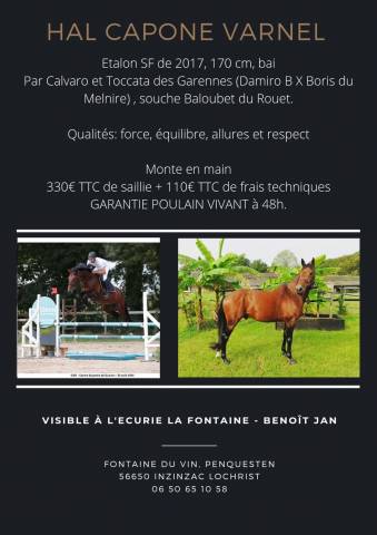 Hal capone varnel : etalon sf