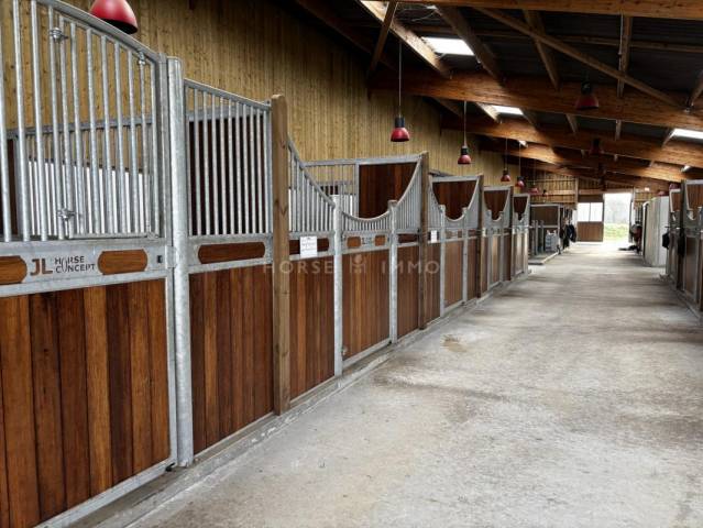 écurie neuve haut de gamme sur 15 ha avec manège couvert et ha