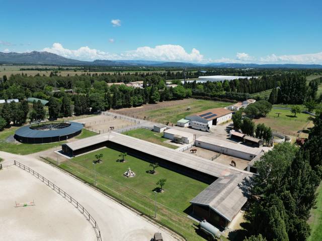 Propriété équestre d'excellence 5 hectares aux portes d
