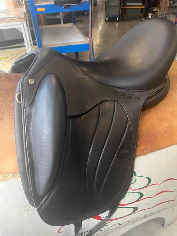 Selle gbs