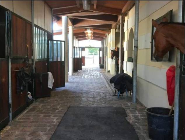 Pension box paddock - domaine de barbizon 77630 