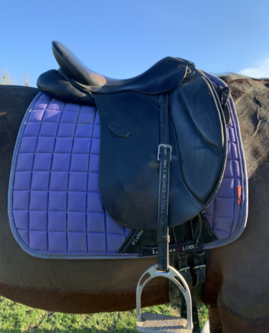 Selle dressage 17'5 arcade interchangeable