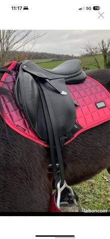 Selle bâtes