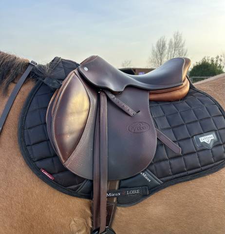 Selle jumpin one année 2020, taille 17´ 