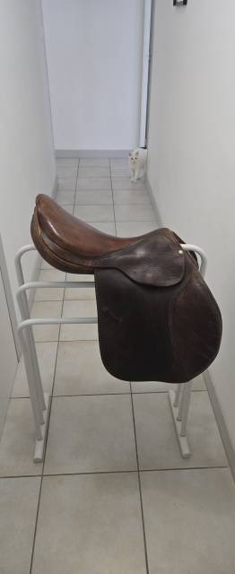 Selle forestier atlanta