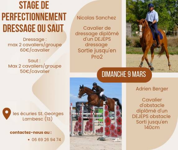 Stage cso ou dressage 
