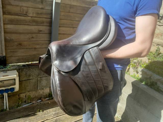 Selle seoul forestier