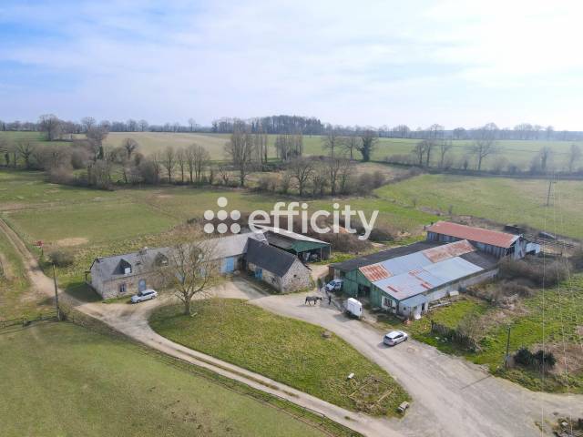 Propriété équestre / agricole 17 hectares