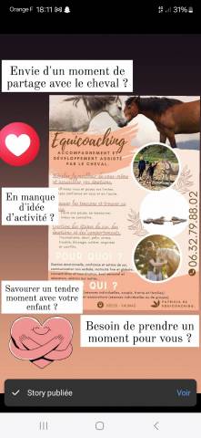 Equicoaching