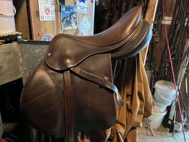 Selle forestier séoul 