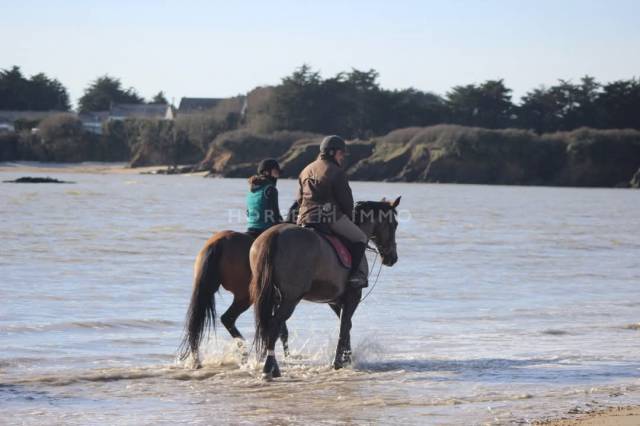 Haras haut de gamme à 5 min des plages - un cadre unique pour