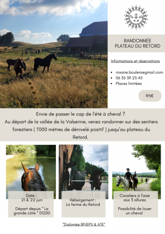 Magnifique randonnée sur le plateau du retord 01200