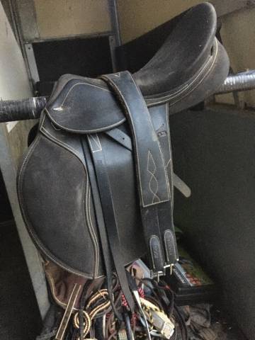 Selle tekna 17