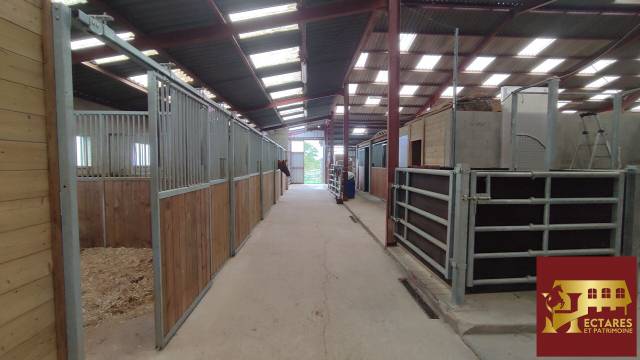 Propriété équestre 54 hectares!