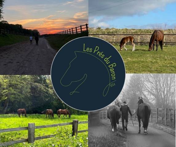 Pension chevaux normandie