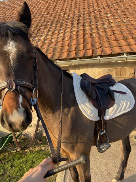 Selle devoucoux chilberta