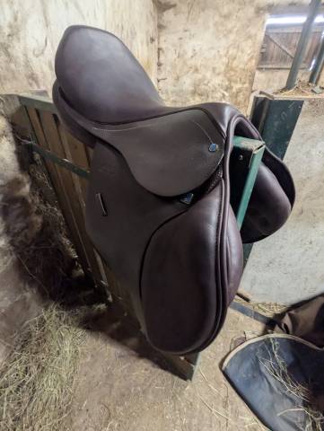 Selle virginia s 17.5
