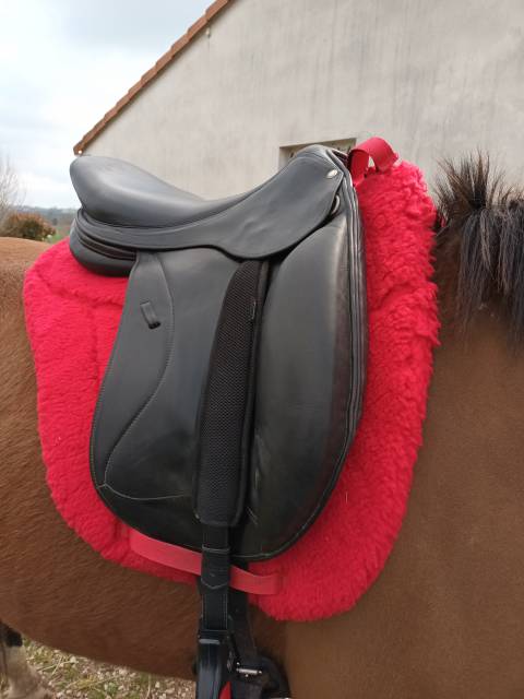 Selle forestier 17/17,5 dressage 