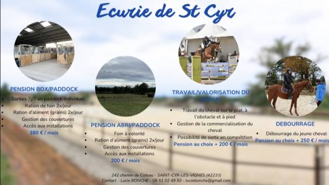 Pension disponible ecurie de st cyr