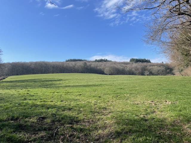Pension pré dans la nièvre
