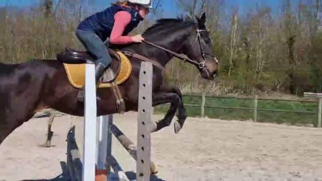 Magnifique ps 6 ans cso cross complet