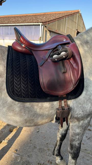 Selle de dressage zaldi 17,5” marron/noir