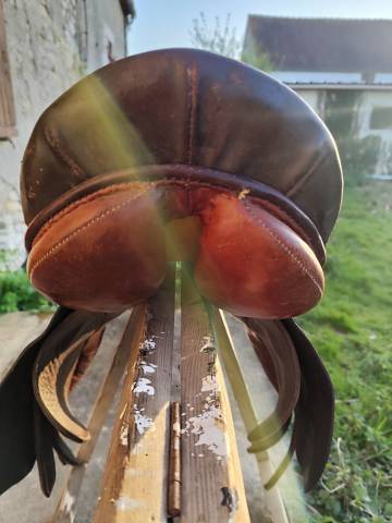 Petite selle anglaise pour poney b ou c