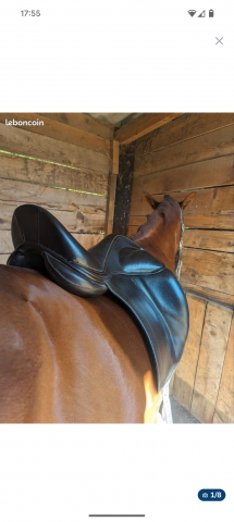 Selle dressage childeric