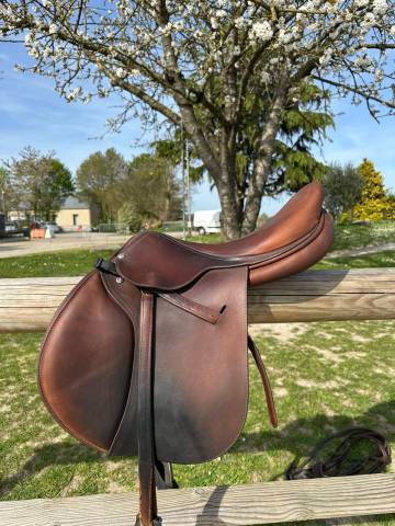 Selle butet de 2019, taille 17