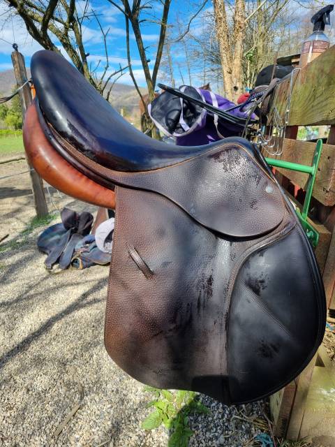 Selle childeric 