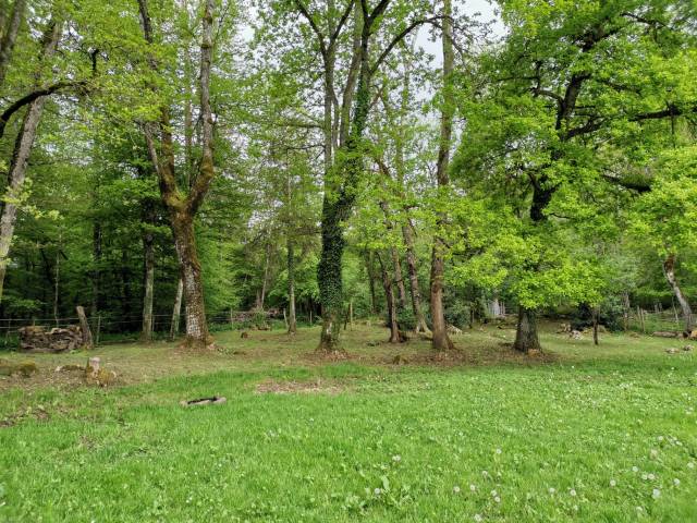Maison lumineuse, 5 chambres, 3640m2 + poss. loc 1 hec 