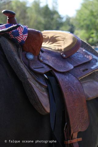 Selle western 
