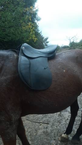 Selle dressage wintec