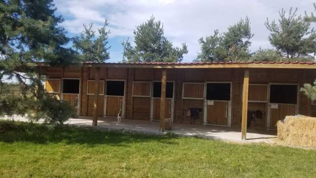 Pension chevaux